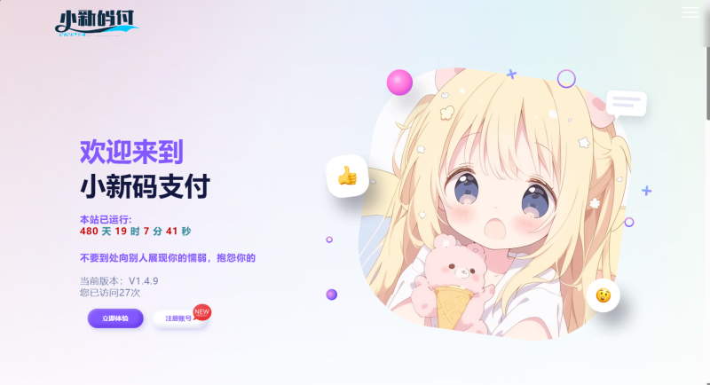 码支付源码-小新源码网