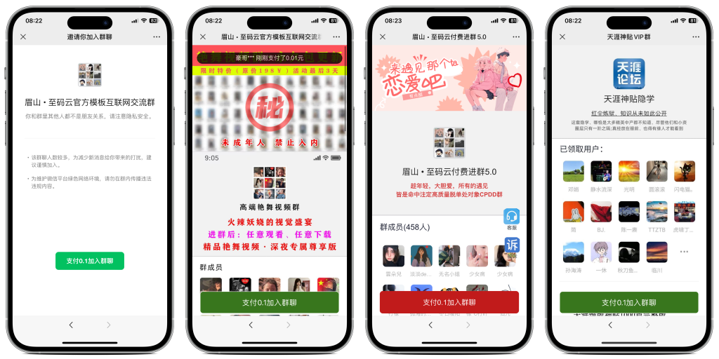 最新付费进群系统源码-双模板分销裂变+全支付接口资源变现神器-小新源码网